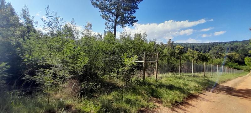 0 Bedroom Property for Sale in Hogsback Eastern Cape